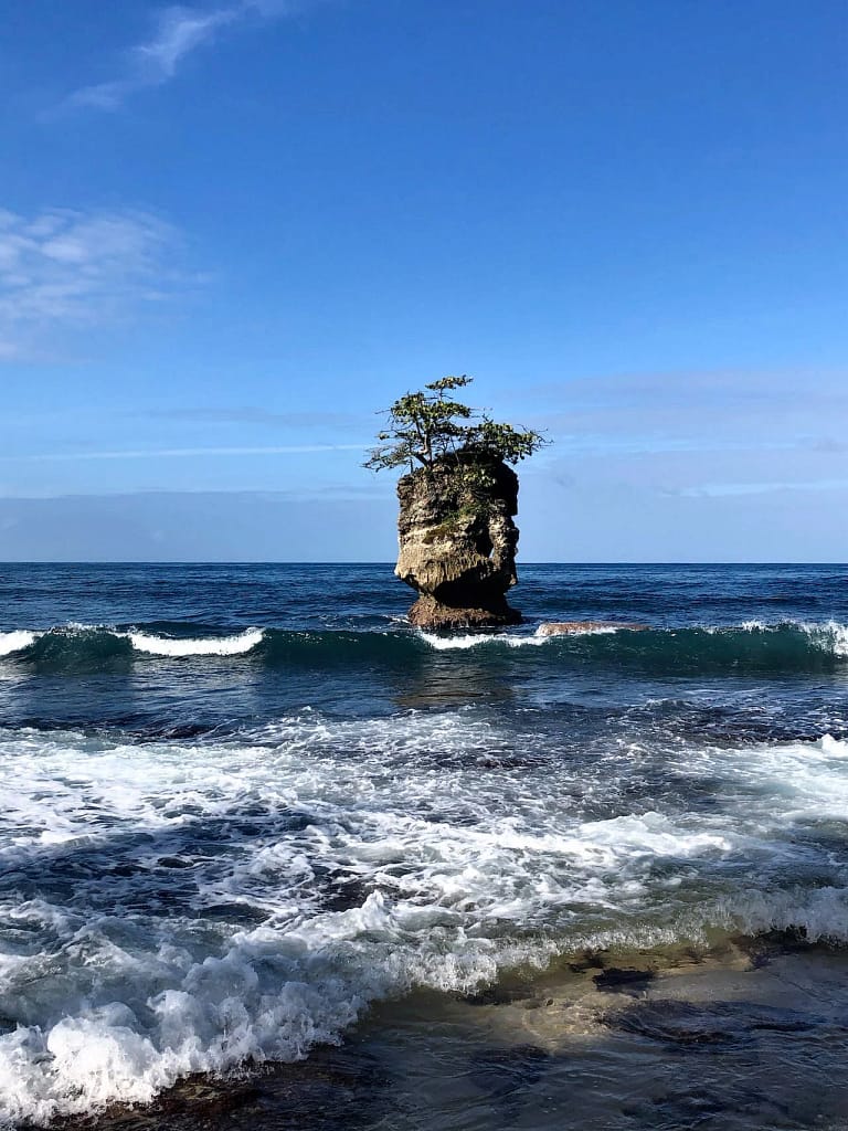 Manzanillo: Best Beach Towns in Costa Rica